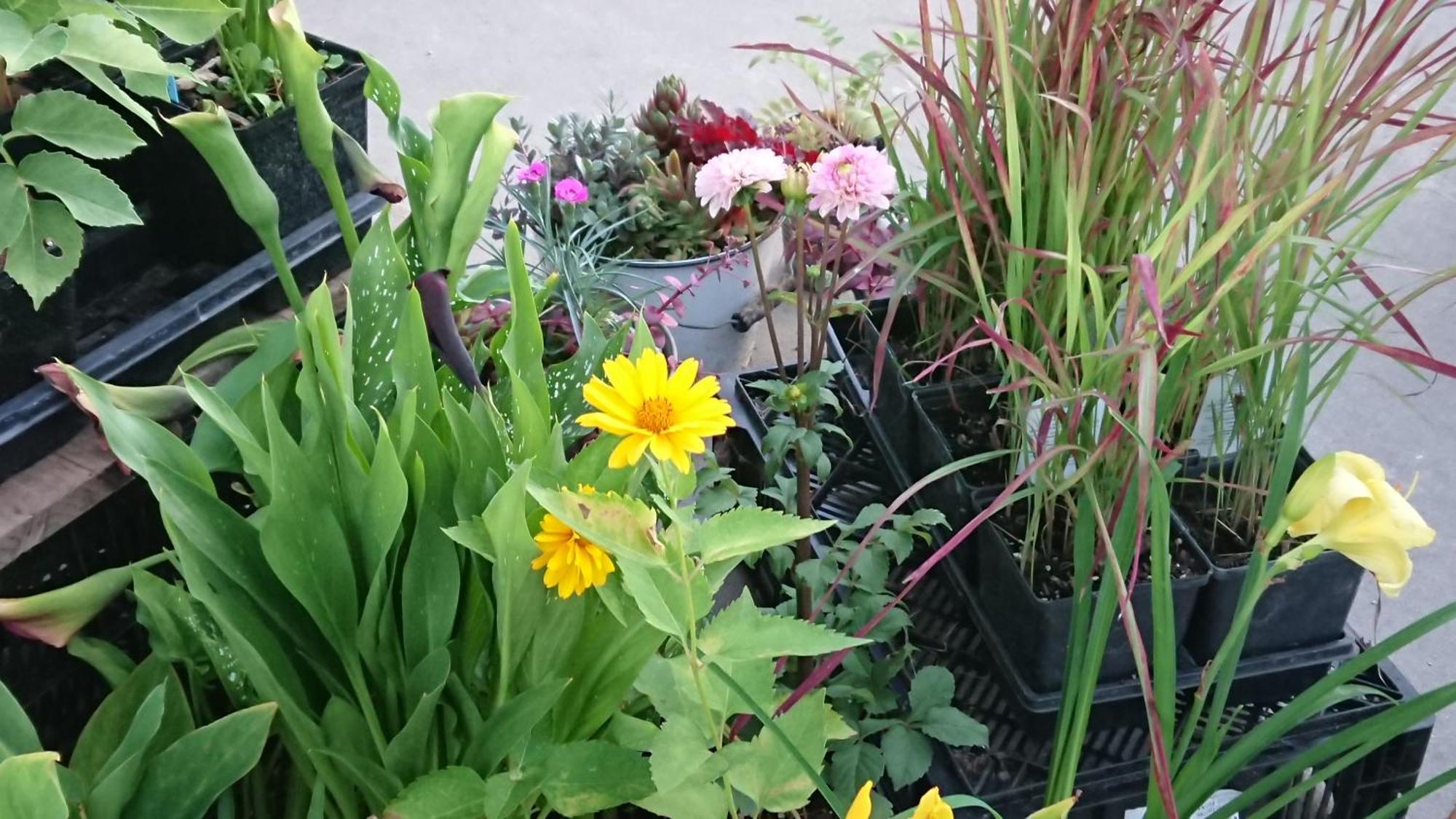 Colborne Bed And Breakfast Goderich Luaran gambar